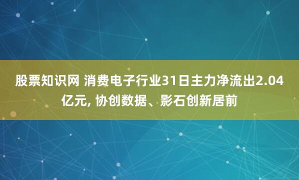 股票知识网 消费电子行业31日主力净流出2.04亿元, 协创数据、影石创新居前