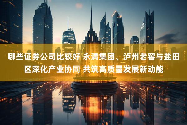 哪些证券公司比较好 永清集团、泸州老窖与盐田区深化产业协同 共筑高质量发展新动能