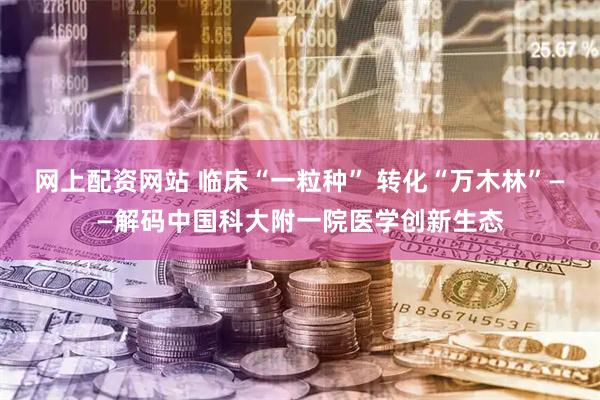 网上配资网站 临床“一粒种” 转化“万木林”——解码中国科大附一院医学创新生态